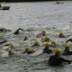 07.Fritton.2012