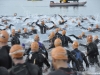 Mass swim